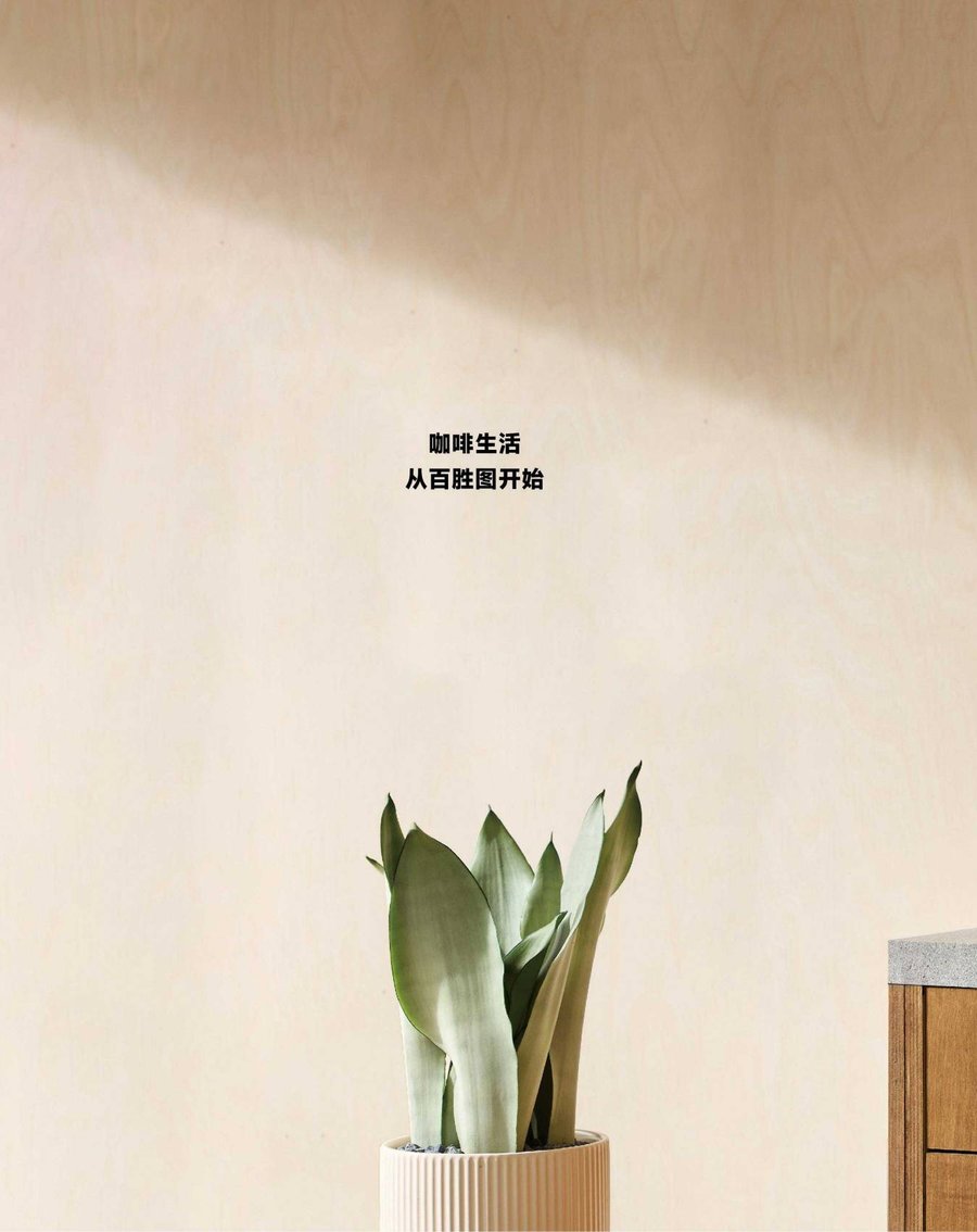Barsetto 户外咖啡